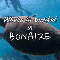 Where to snorkel in Bonaire?