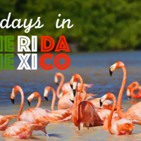 2 days in Merida - Mexico