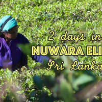 2 days in Nuwara Eliya - Sri Lanka